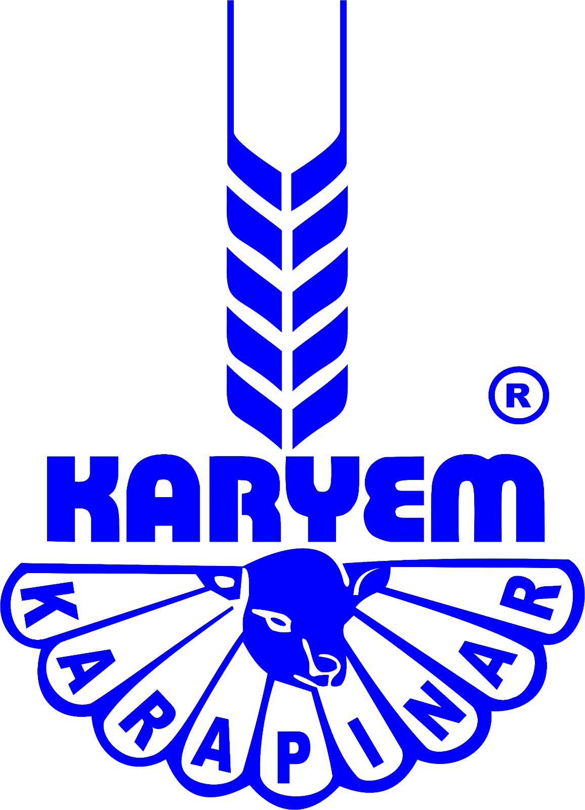 Karyem